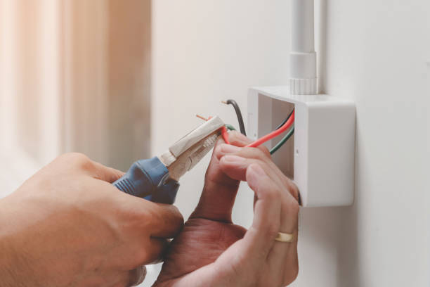 Best Electrical Safety Inspections  in Panacea, FL